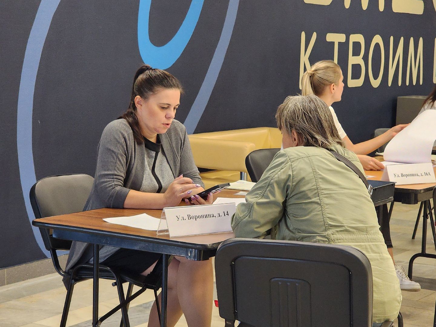 выборы 2024, выборы совета депутатов, члены уик,