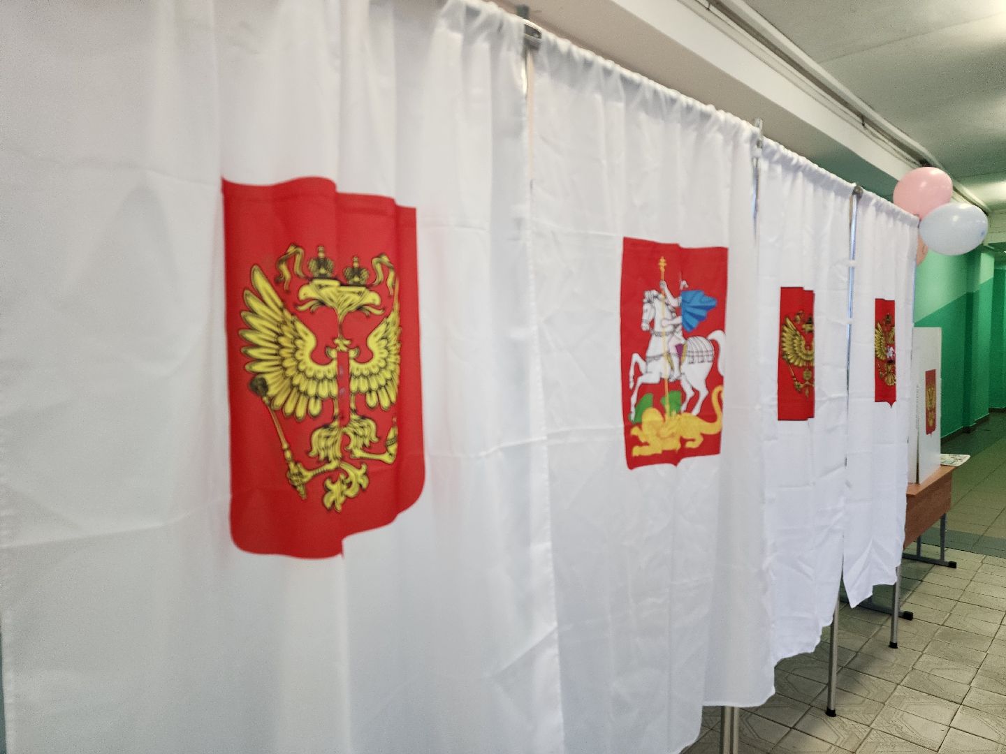 Дубна, Многодетная мать, голосование 2024, выборы в совет депутатов,