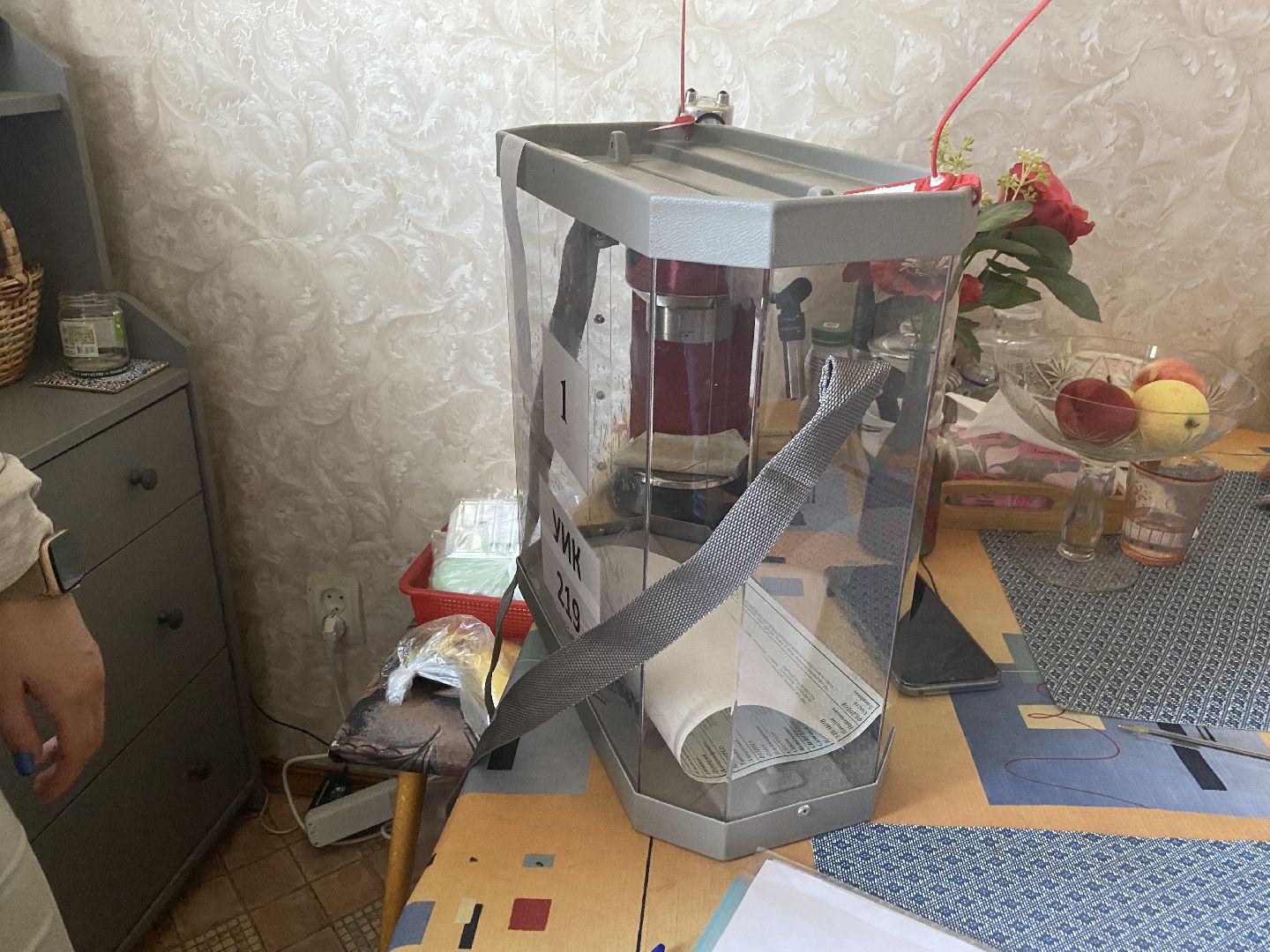 выборы 2024, Власиха голосует, Выборы на дому, Совет депутатов Власиха, УИК-219 Власиха,