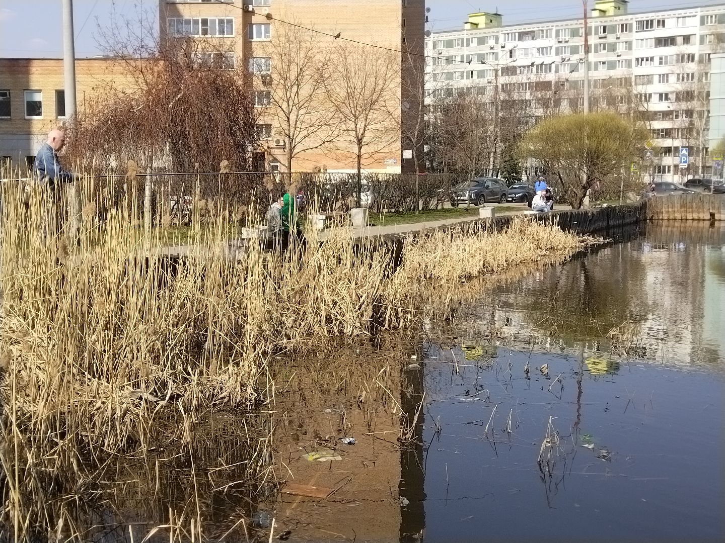 Благоустройство, Мытищи, сквер, жильё и городская среда