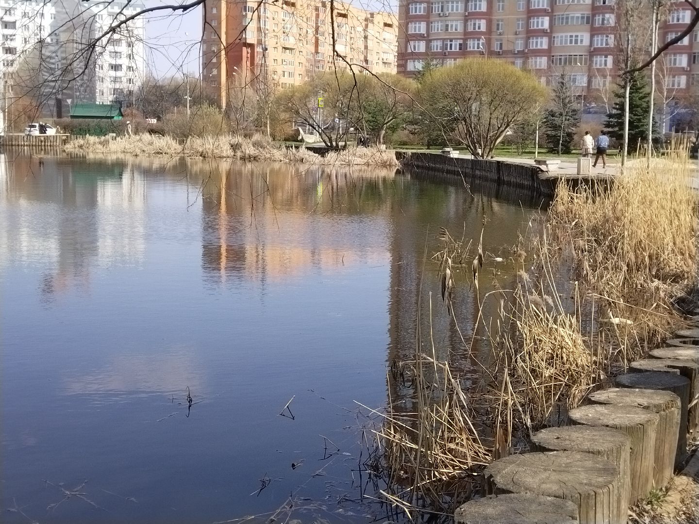 Благоустройство, Мытищи, сквер, жильё и городская среда