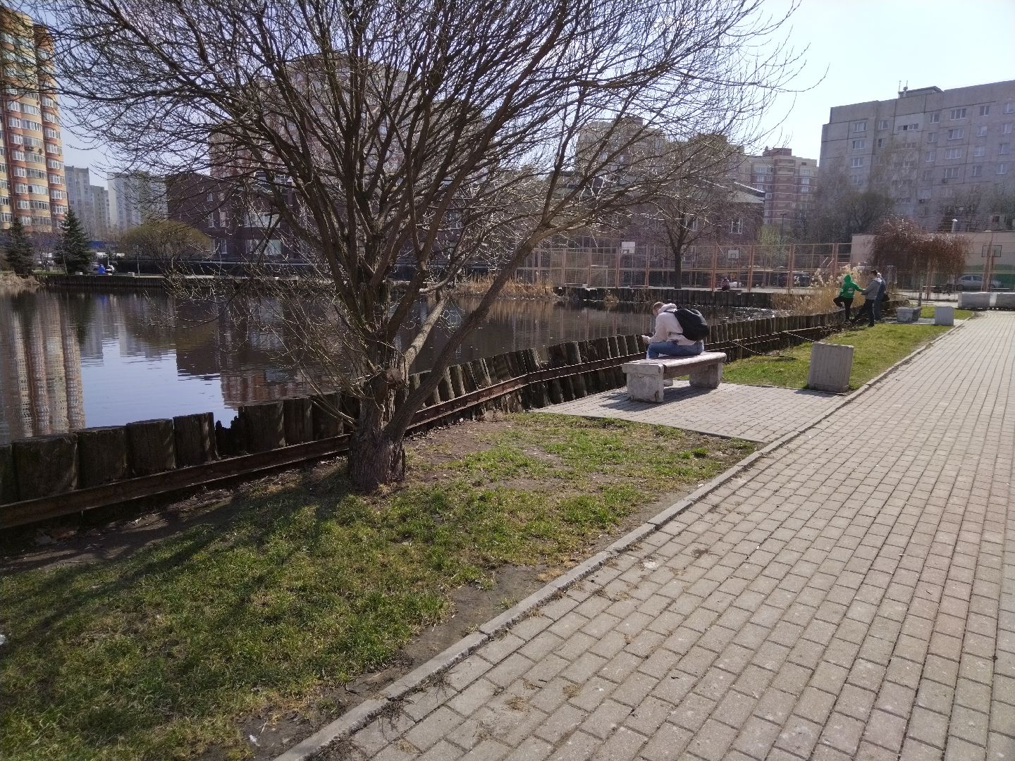 Благоустройство, Мытищи, сквер, жильё и городская среда