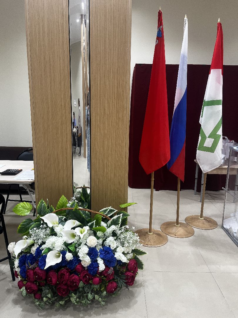 выборы, выборы в совет депутатов,