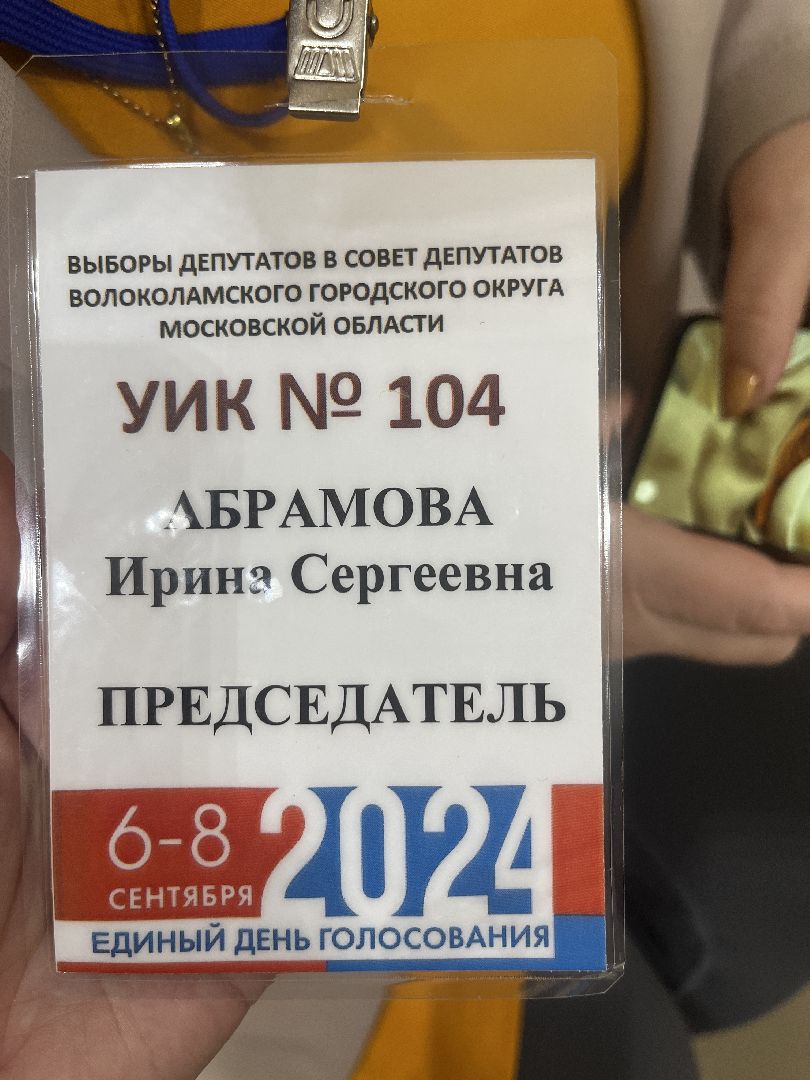 выборы, выборы в совет депутатов,