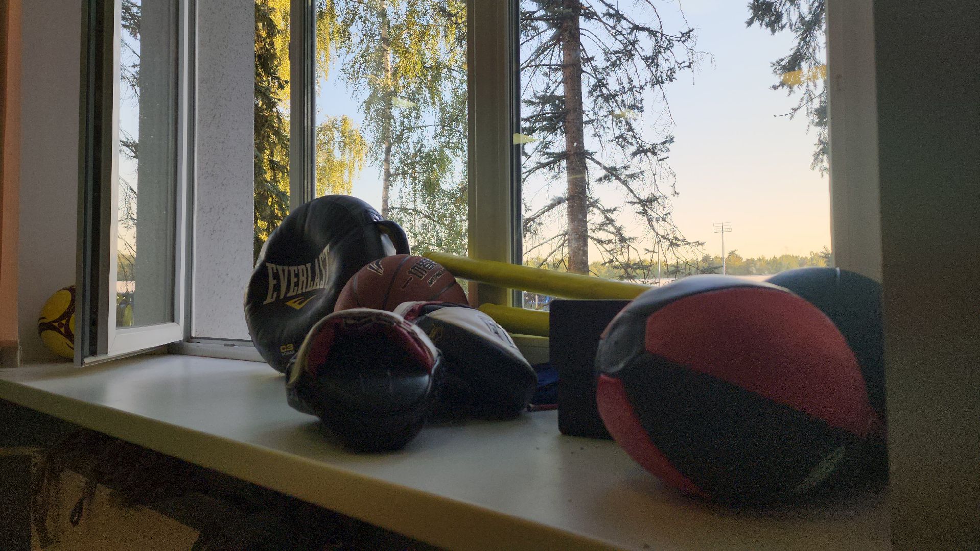 красногорск, спорт, бокс,