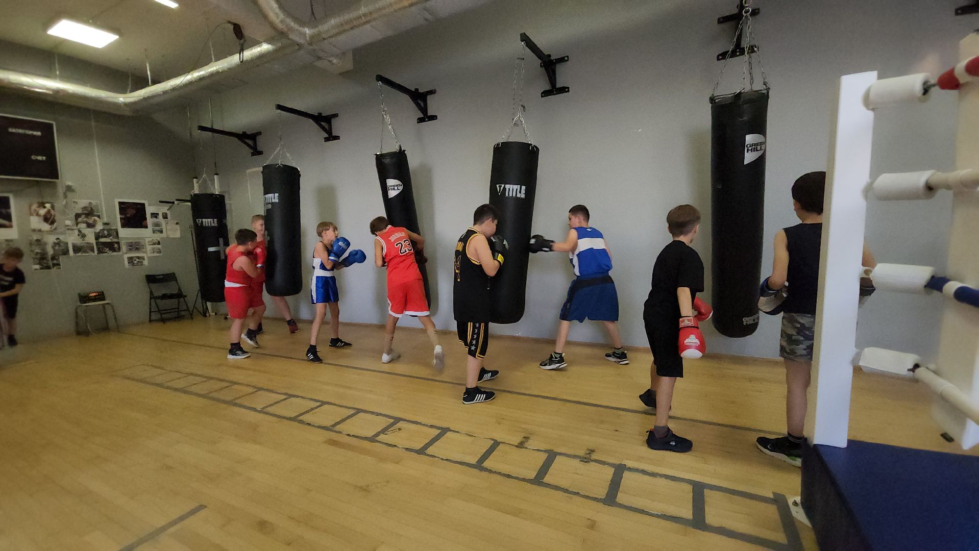 красногорск, спорт, бокс,