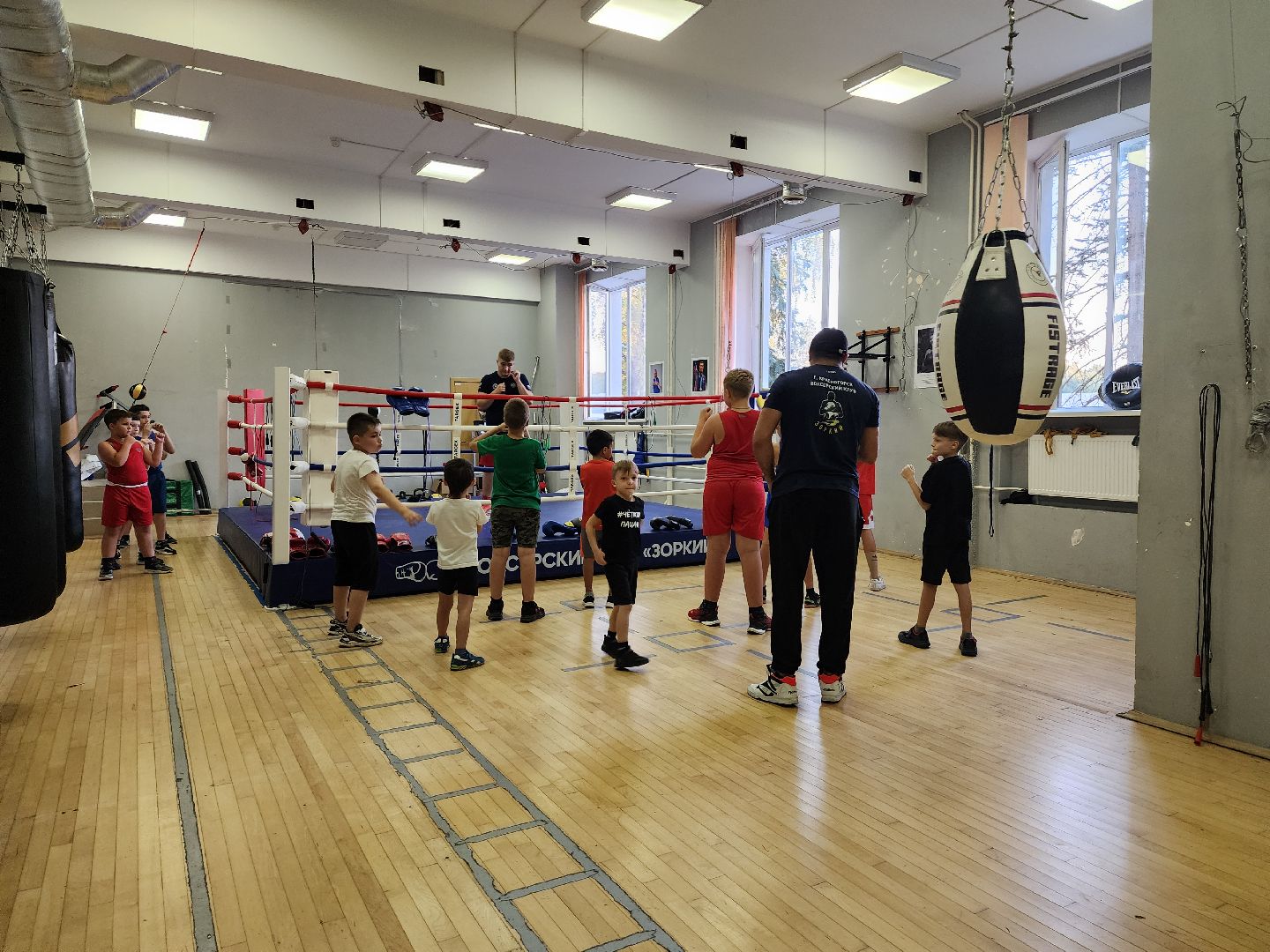 красногорск, спорт, бокс,