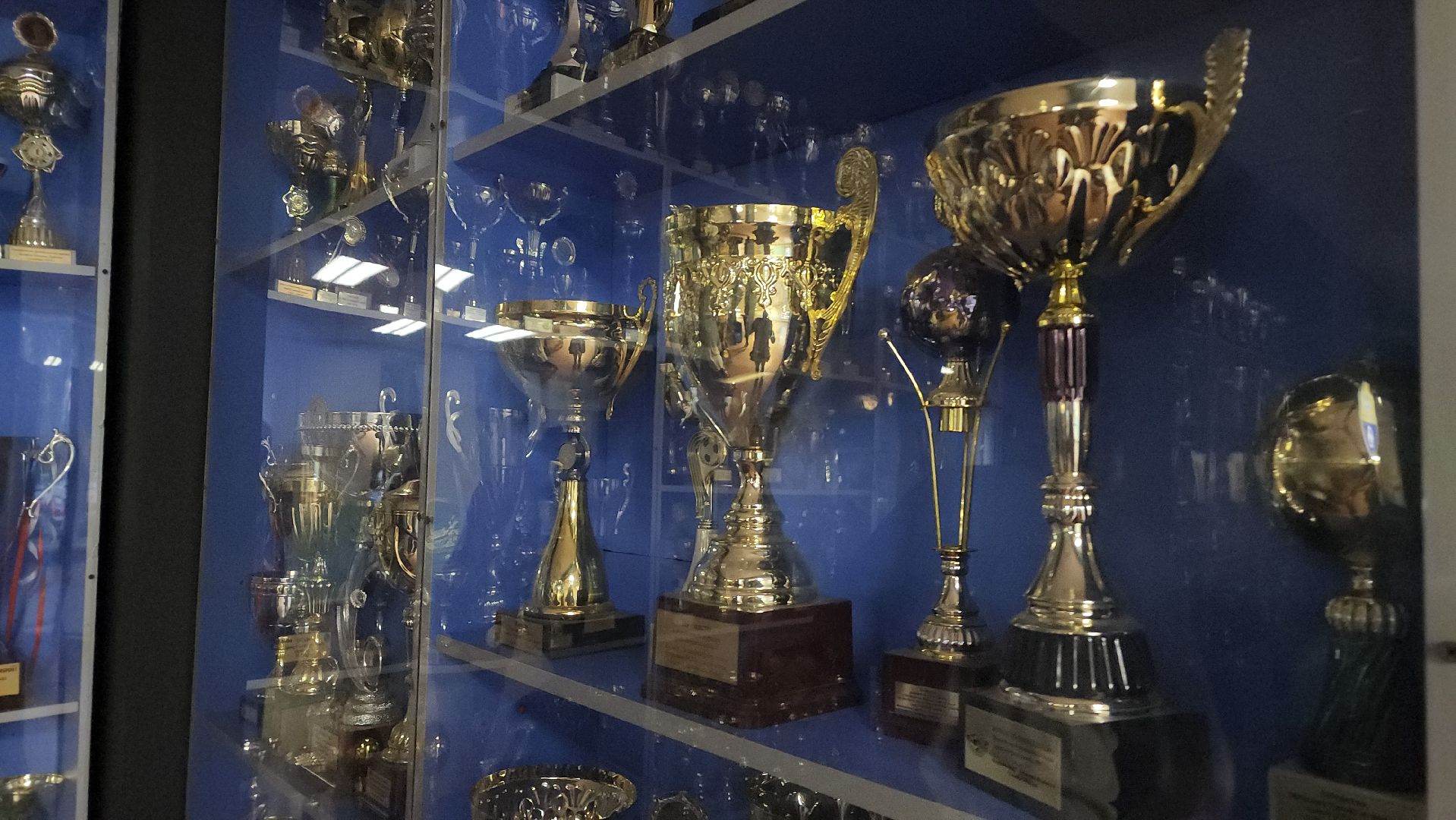 красногорск, спорт, бокс,