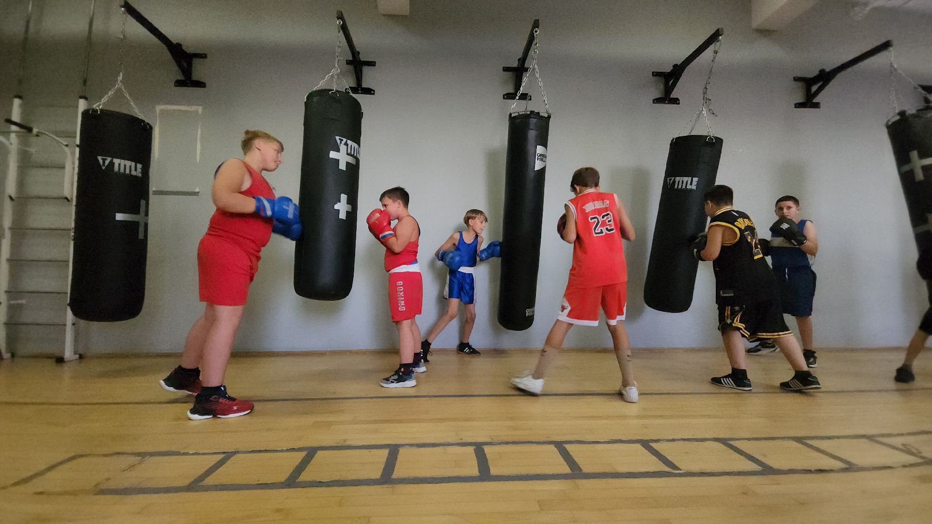 красногорск, спорт, бокс,