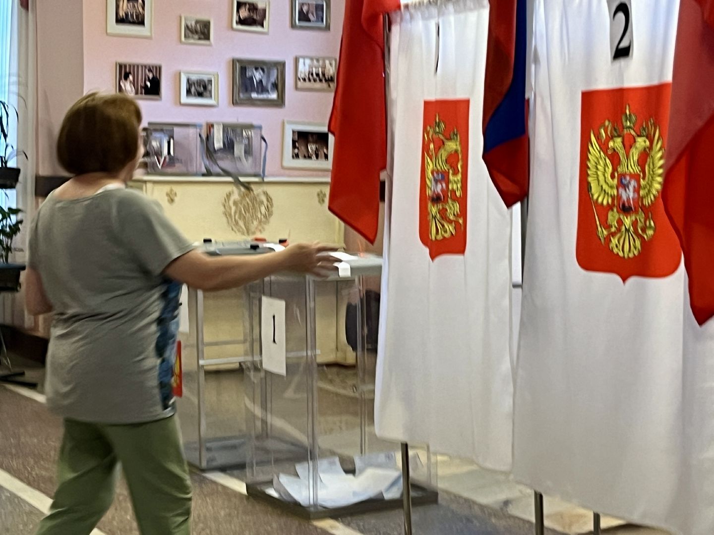 подмосковьевыбирает2024, нарофоминскийгородскойокруг, Апрелевка, Единыйденьголосования, Многодетная мама,