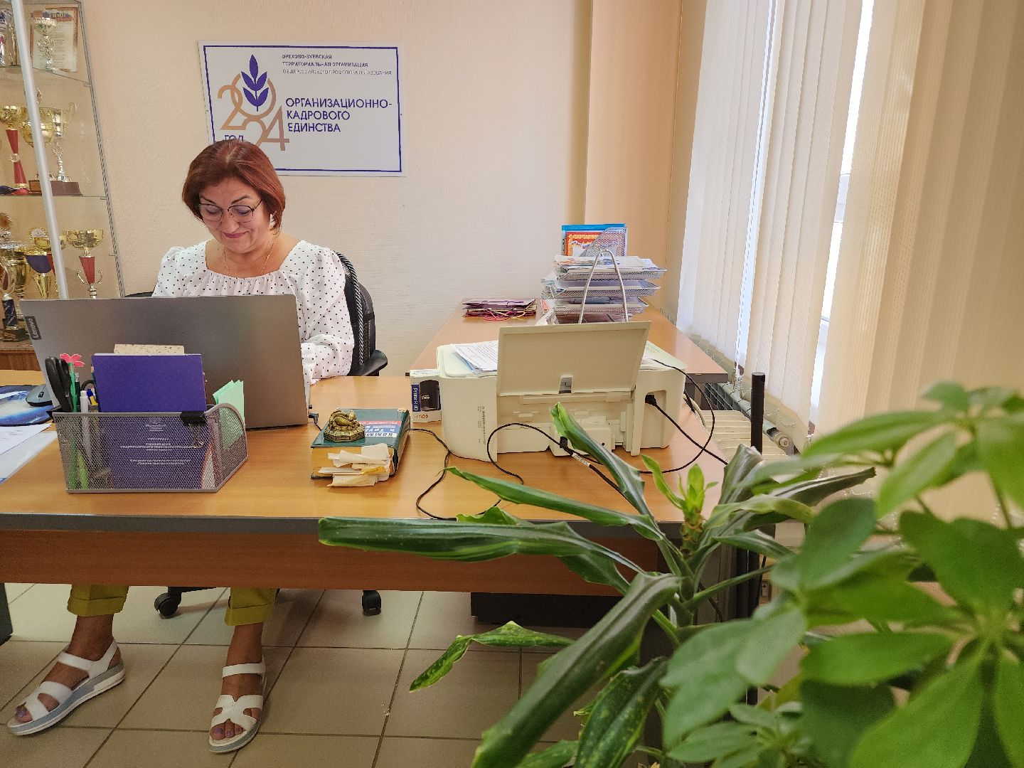 выборы 2024, орехово-зуевский округ,