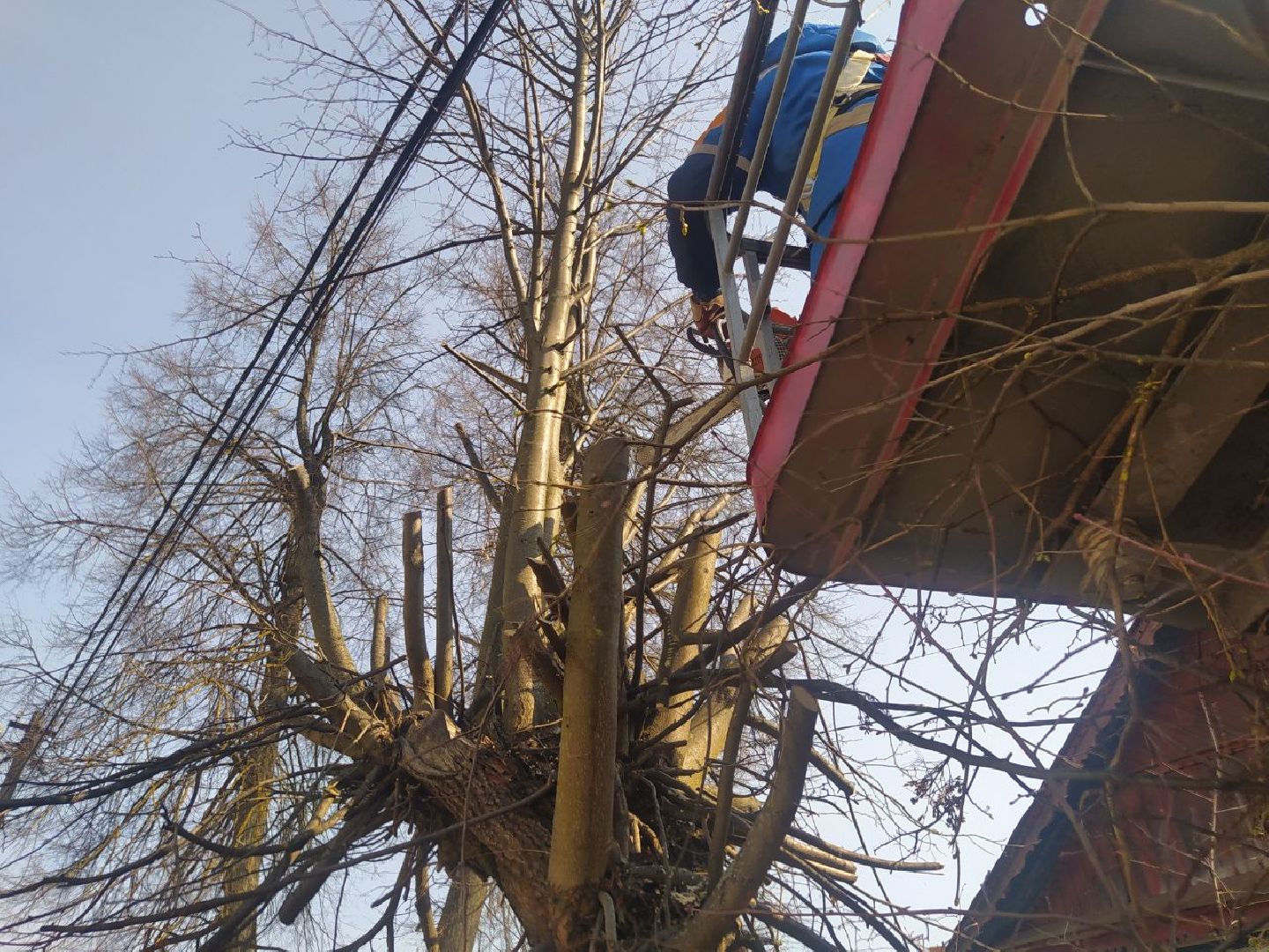 Иста, Опиловка, ЖКХ, Капремонт, кронирование