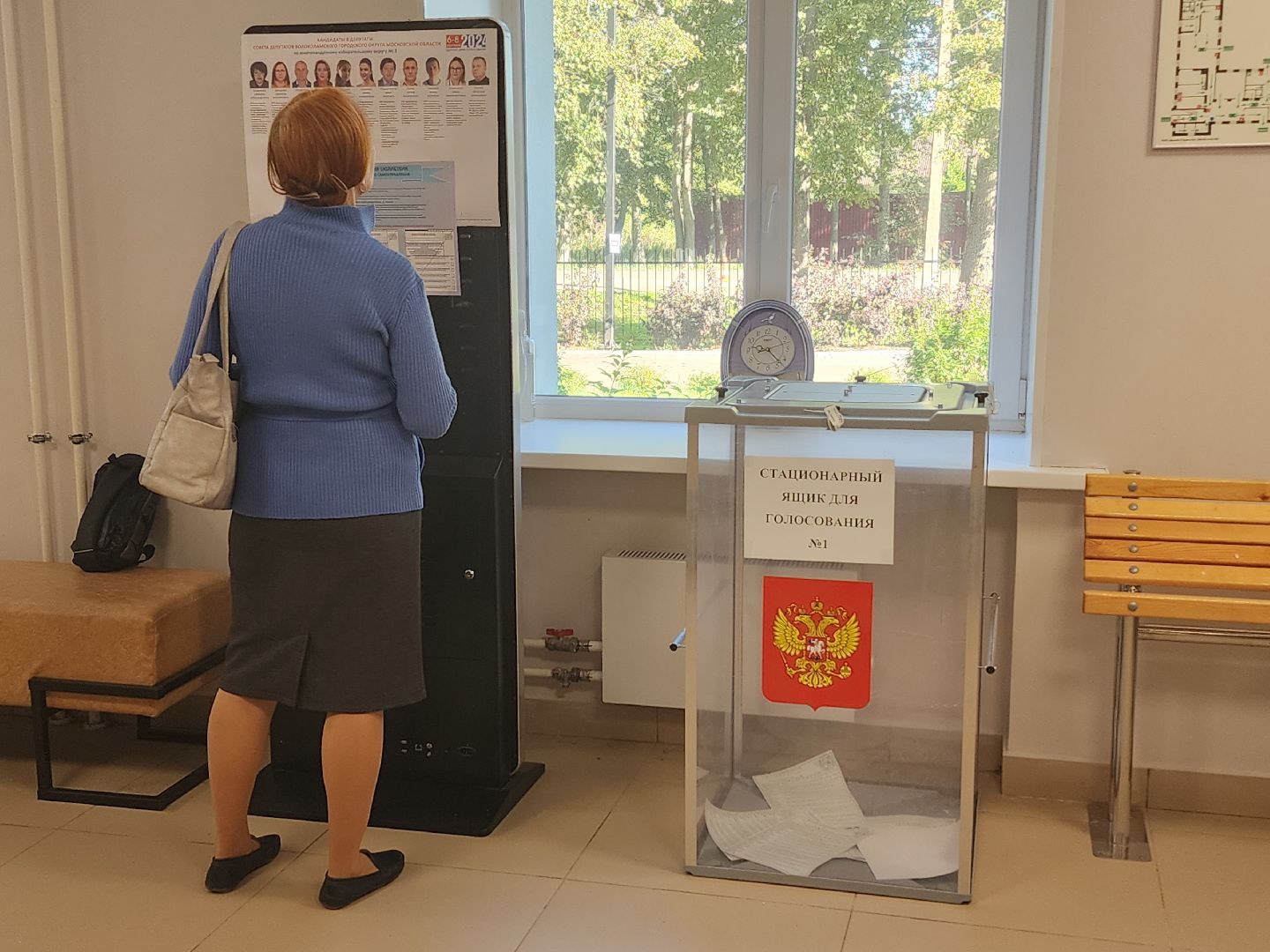 волоколамск, осташево, выборы 2024, муниципальные выборы,