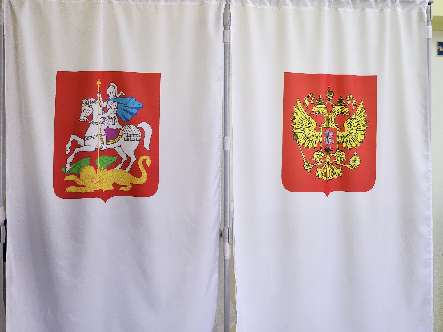 воскресенск, выборы депутатов, впервые голосующие, голосование, голосование 2024,