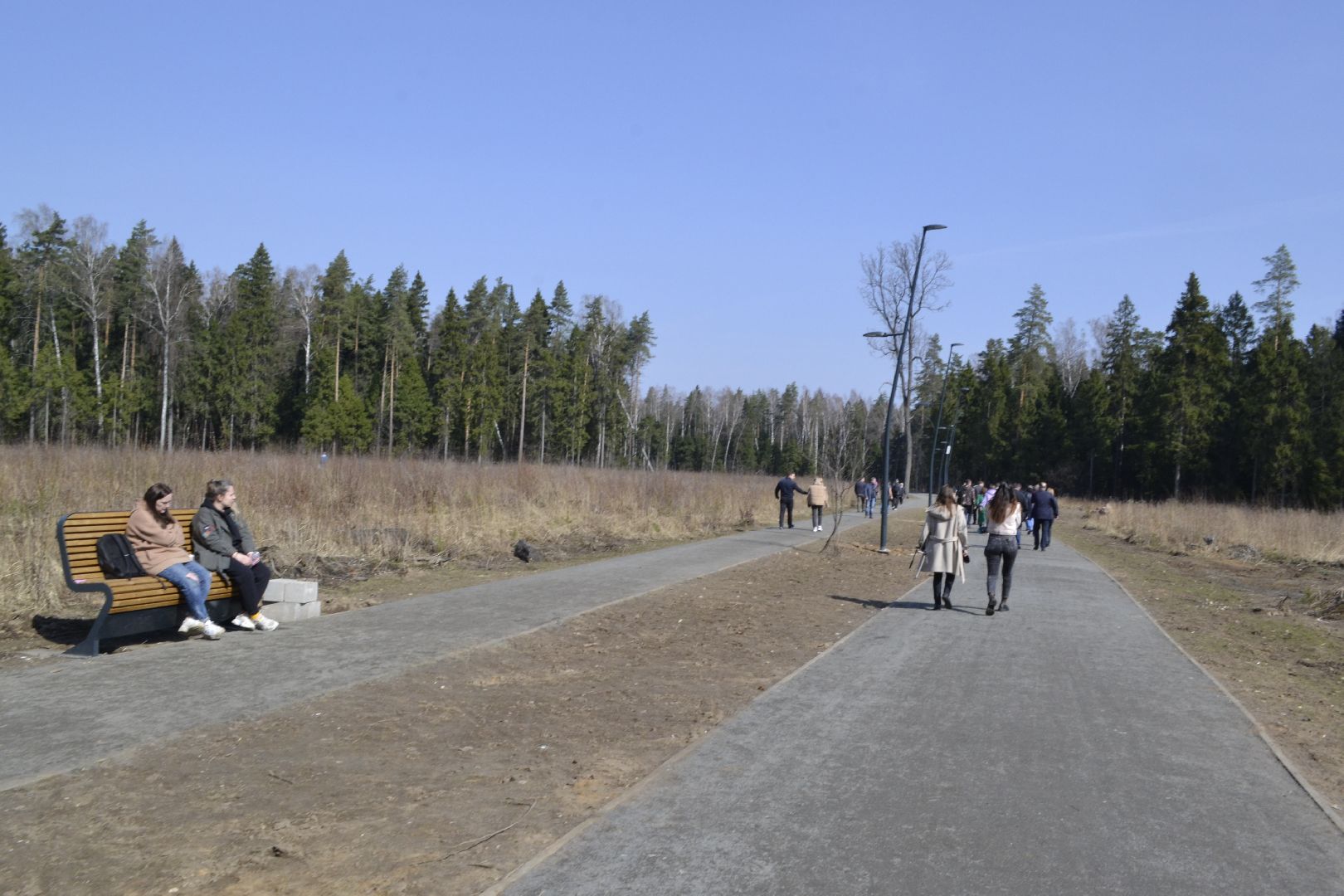 Балашиха, Подмосковье, Парки в лесу, благоустройство, Сергей Юров, Ольгинский лесопарк