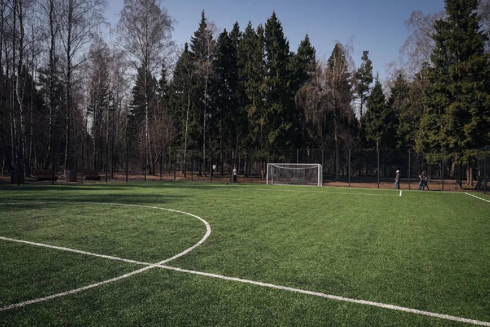 Балашиха, Подмосковье, Парки в лесу, благоустройство, Сергей Юров, Ольгинский лесопарк