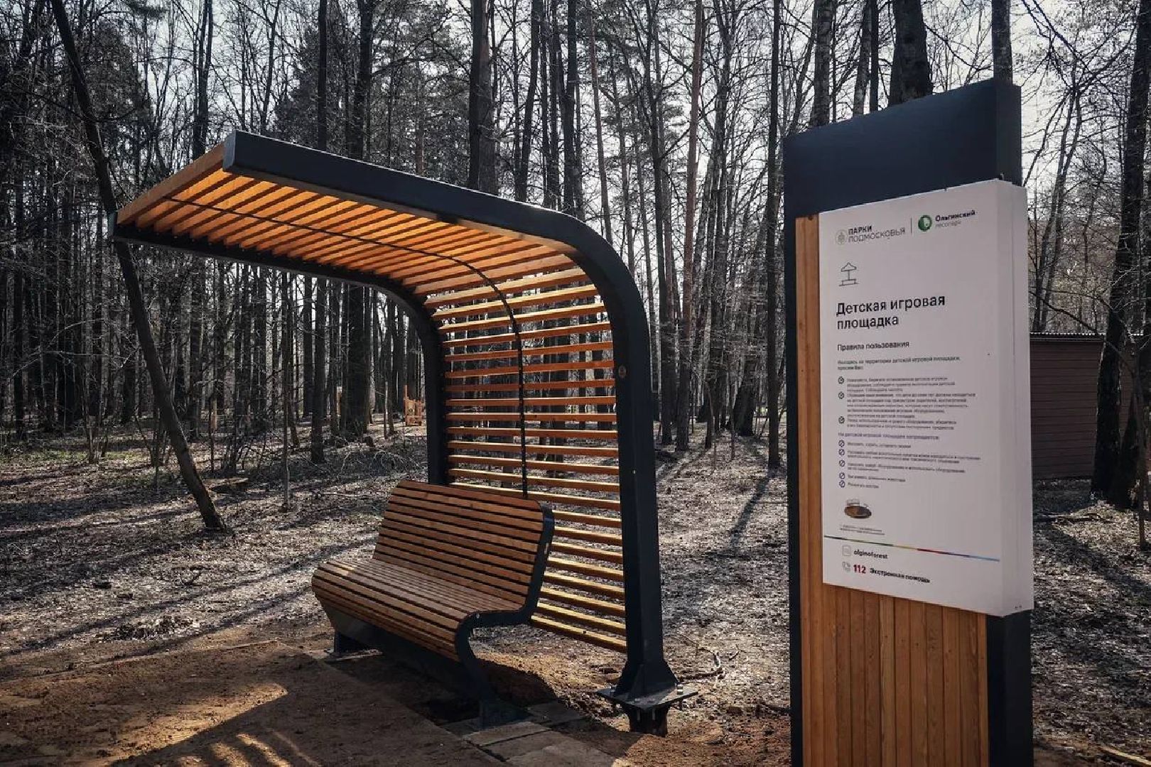 Балашиха, Подмосковье, Парки в лесу, благоустройство, Сергей Юров, Ольгинский лесопарк