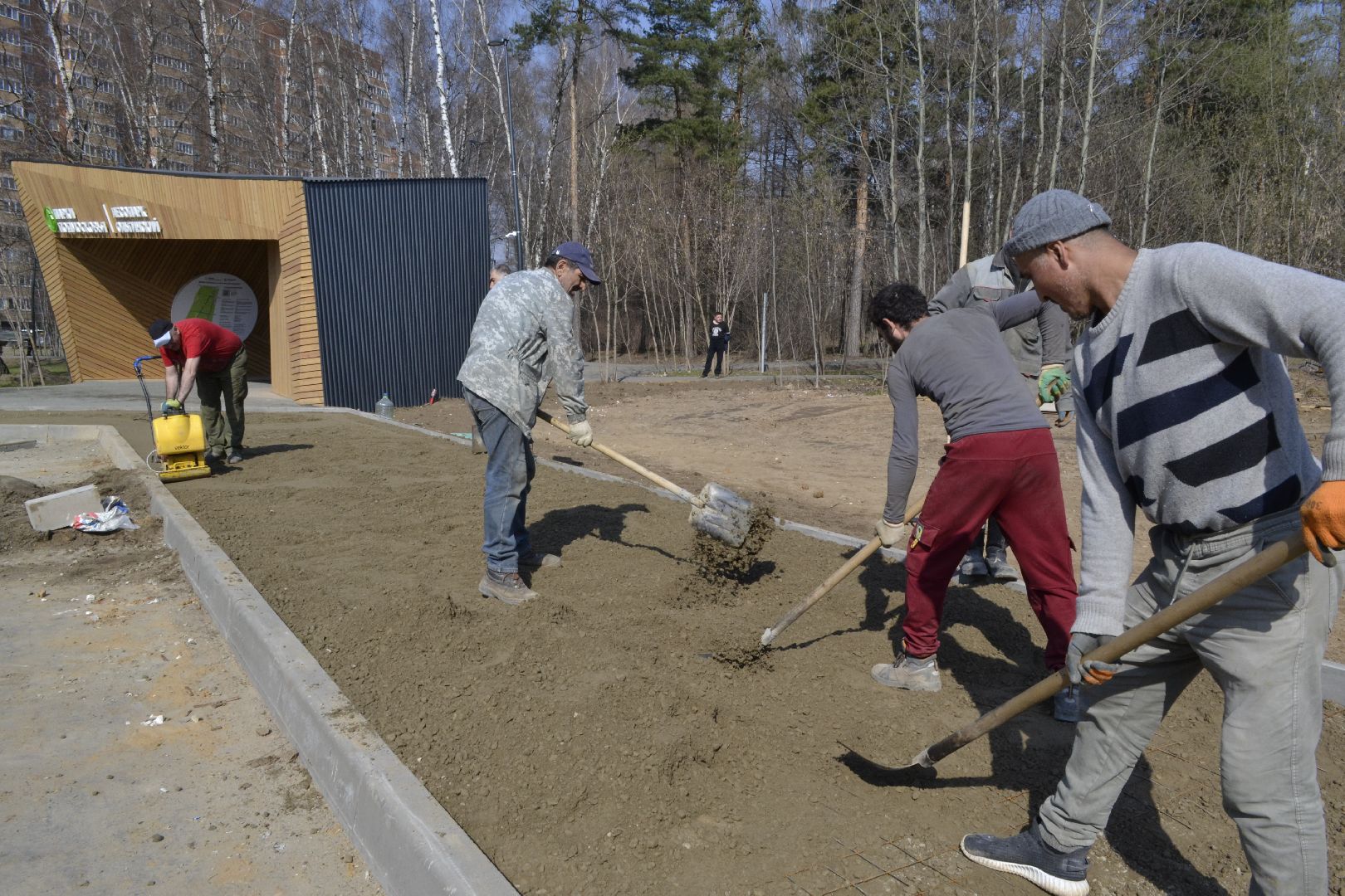 Балашиха, Подмосковье, Парки в лесу, благоустройство, Сергей Юров, Ольгинский лесопарк