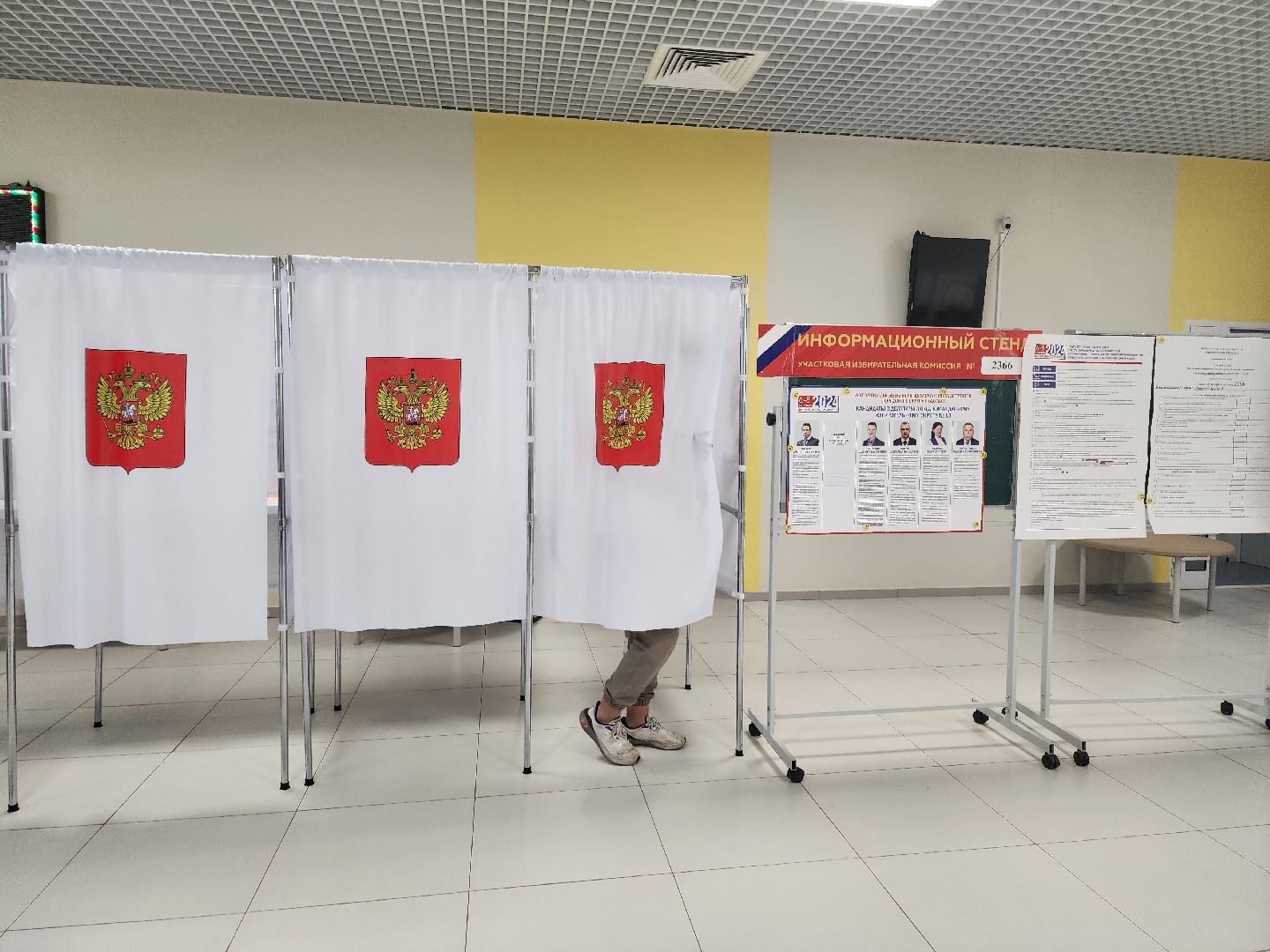 Подольск, Дополнительные выборы, впервые голосующий, избиратели подольска,