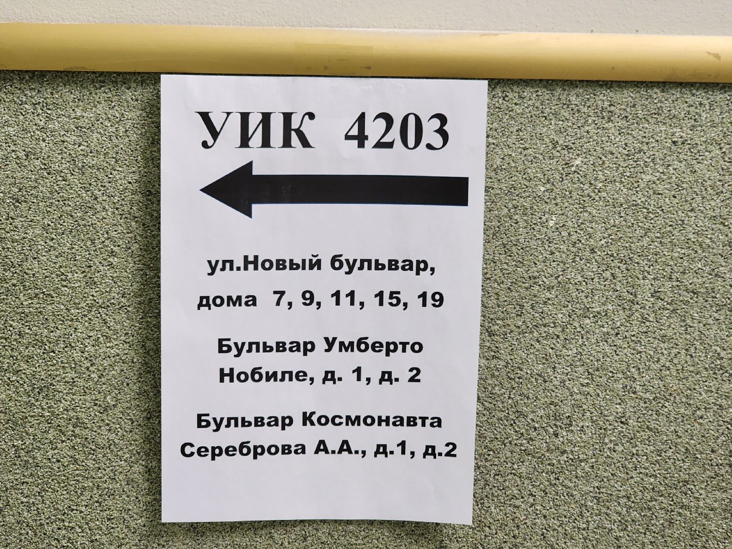 выборы, Долгопрудный, депутат,