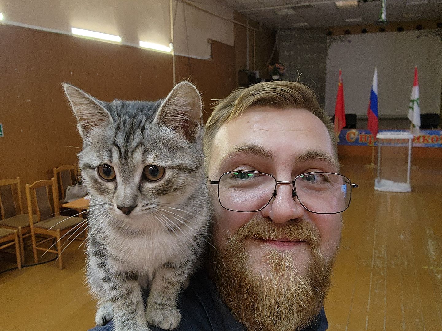 волоколамск, луна, кошка, выборы, эксклюзив,