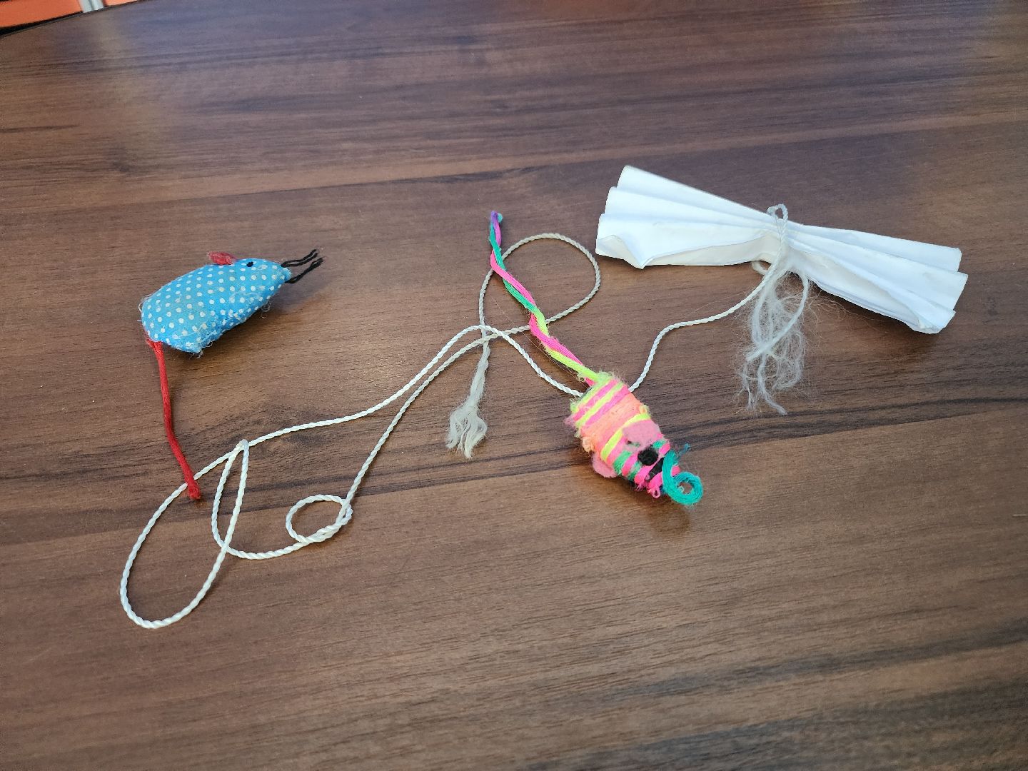 волоколамск, луна, кошка, выборы, эксклюзив,