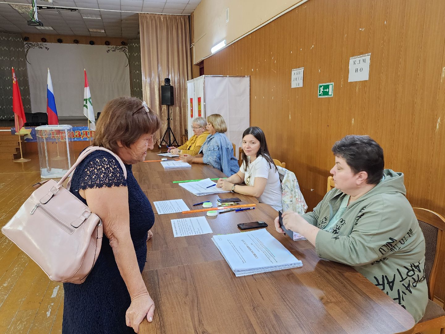 волоколамск, луна, кошка, выборы, эксклюзив,