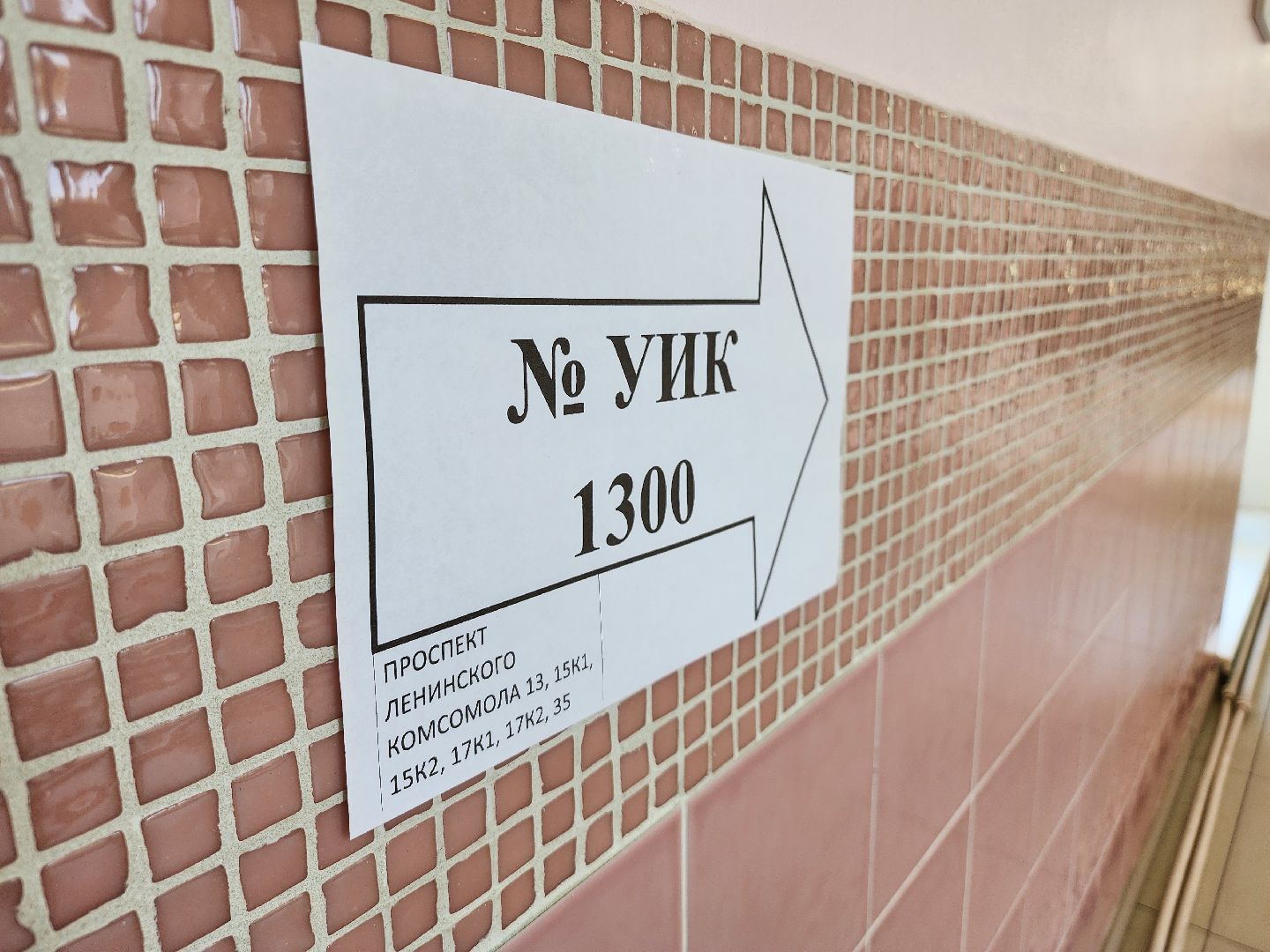 выборы, выборы 2024, голосование, второй день голосования, уик 1300, видное, выборы в совет депутатов ленинского округа, муниципальные выборы,