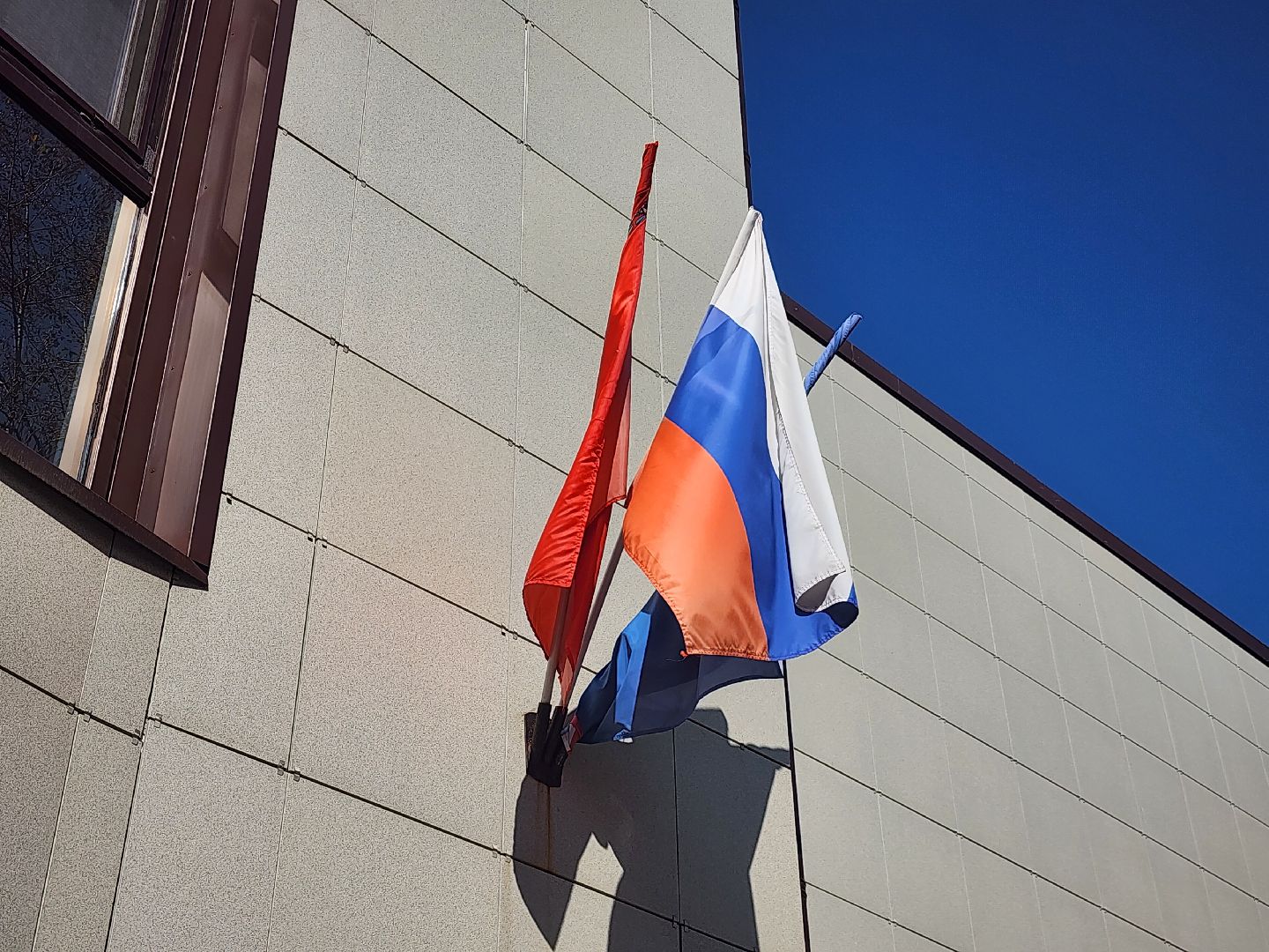 выборы 2024, королёв,