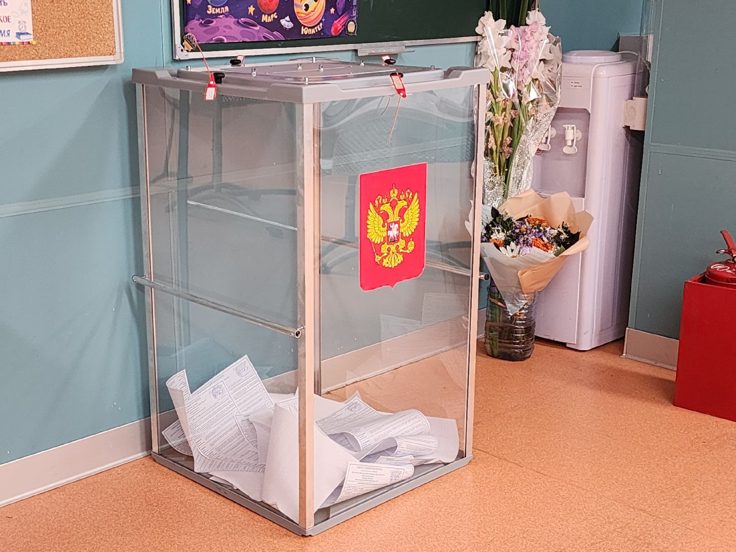 Выборы, общественная палата мо, королёв,