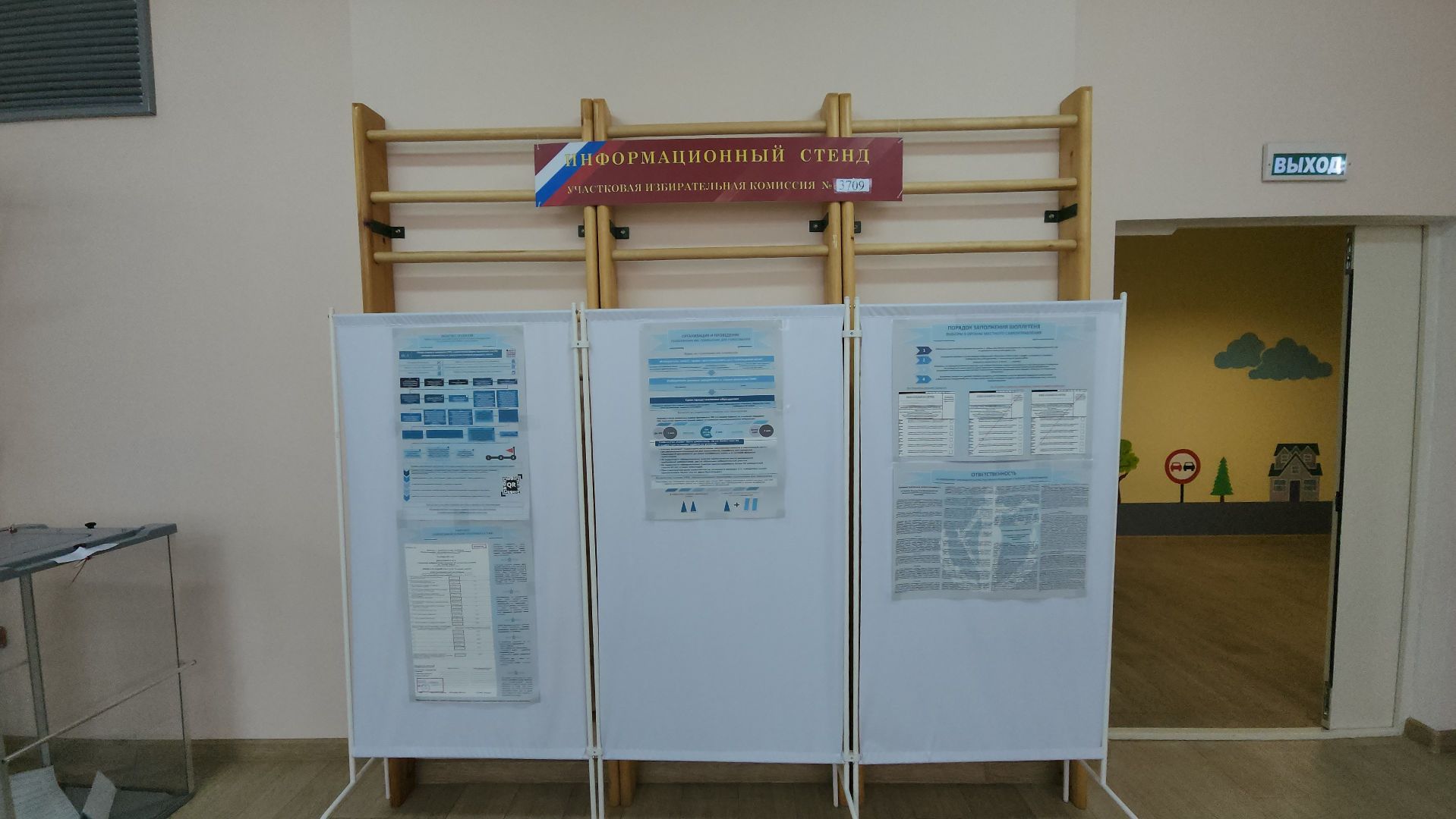 местные выборы, работа уик, совет депутатов, выборы в совет депутатов 2024,