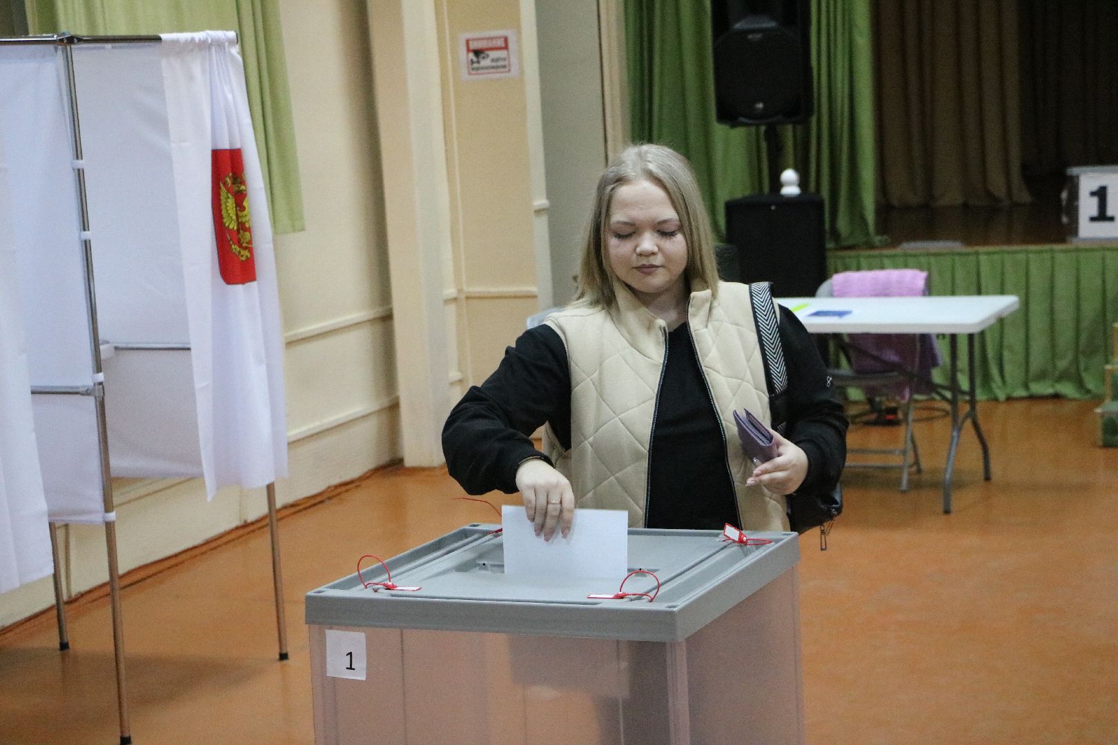 лотошино, выборы 2024, выборы в совет депутатов 2024,