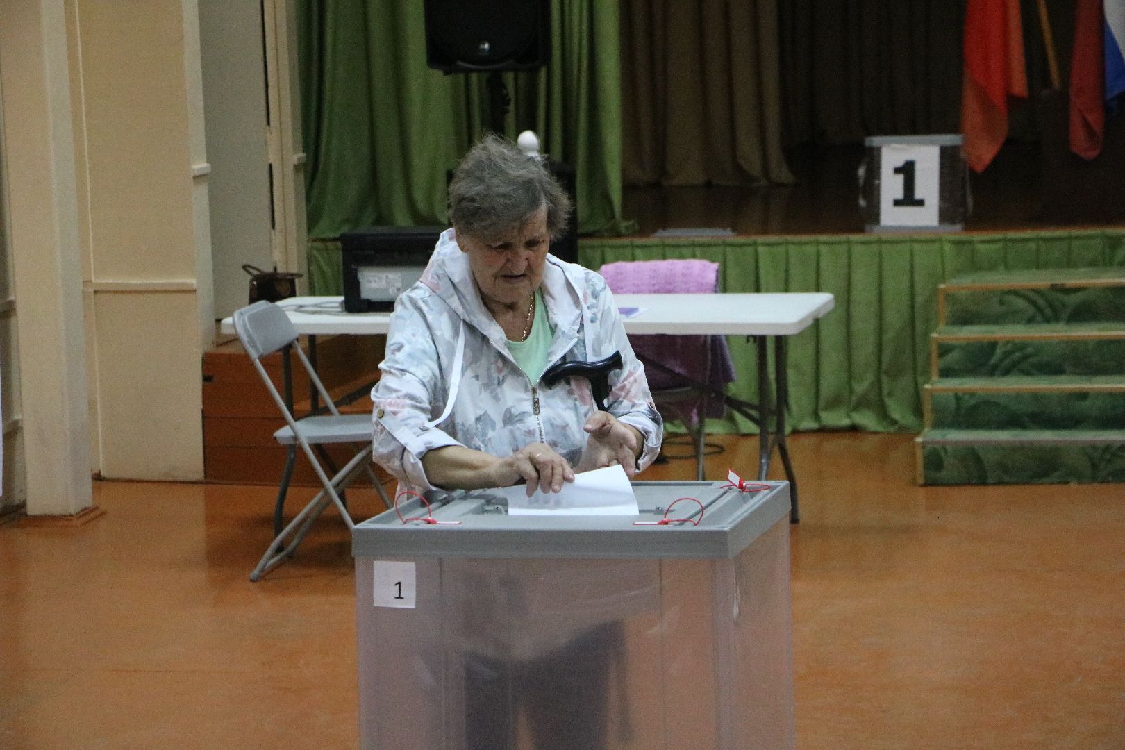 лотошино, выборы 2024, выборы в совет депутатов 2024,