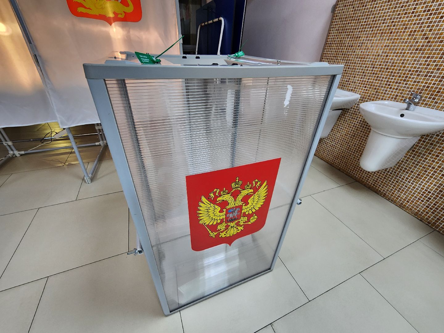 выборы, выборы 2024, ленинский округ, совет депутатов выборы, муниципальные выборы, голосование,