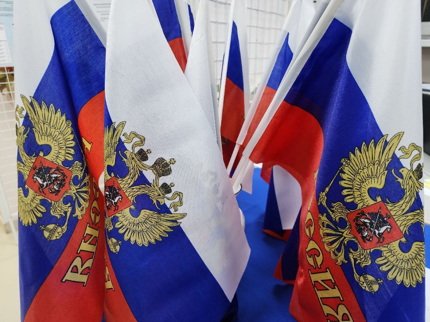 выборы, выборы 2024, ленинский округ, совет депутатов выборы, муниципальные выборы, голосование,