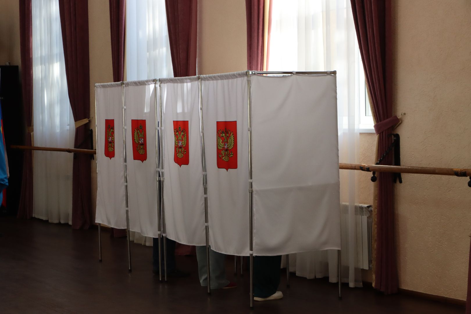 лотошино, выборы 2024, выборы в совет депутатов 2024,