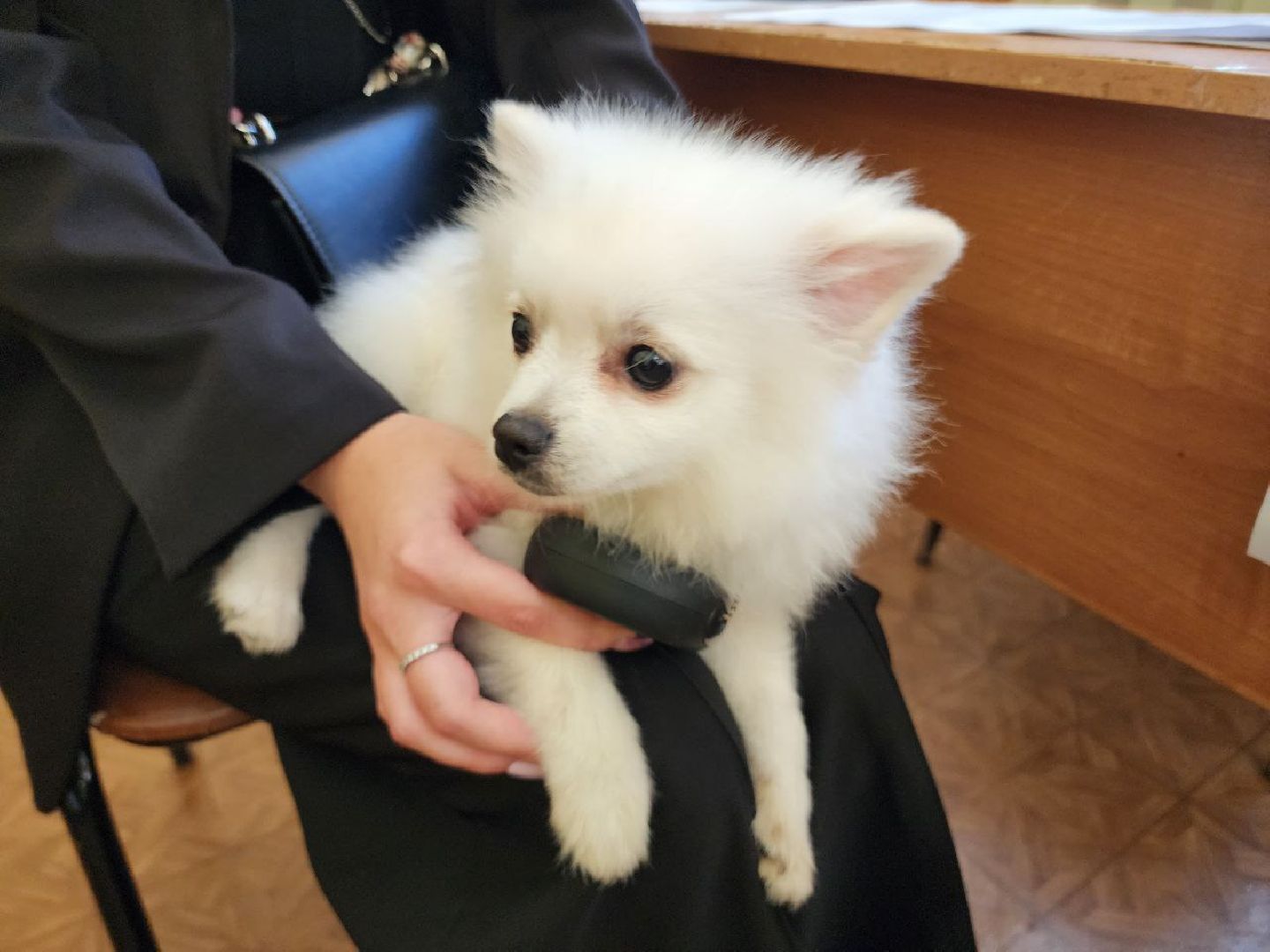 Солнечногорск, Избиратели, выборы 2024, выборы депутатов в совет депутатов, впервые голосующие,