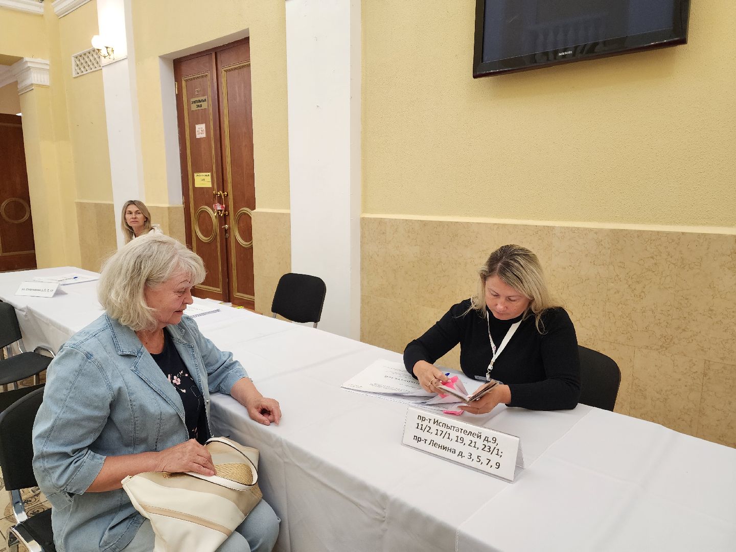 красноармейск, городской округ пушкинский, выборы 2024, избиратель,