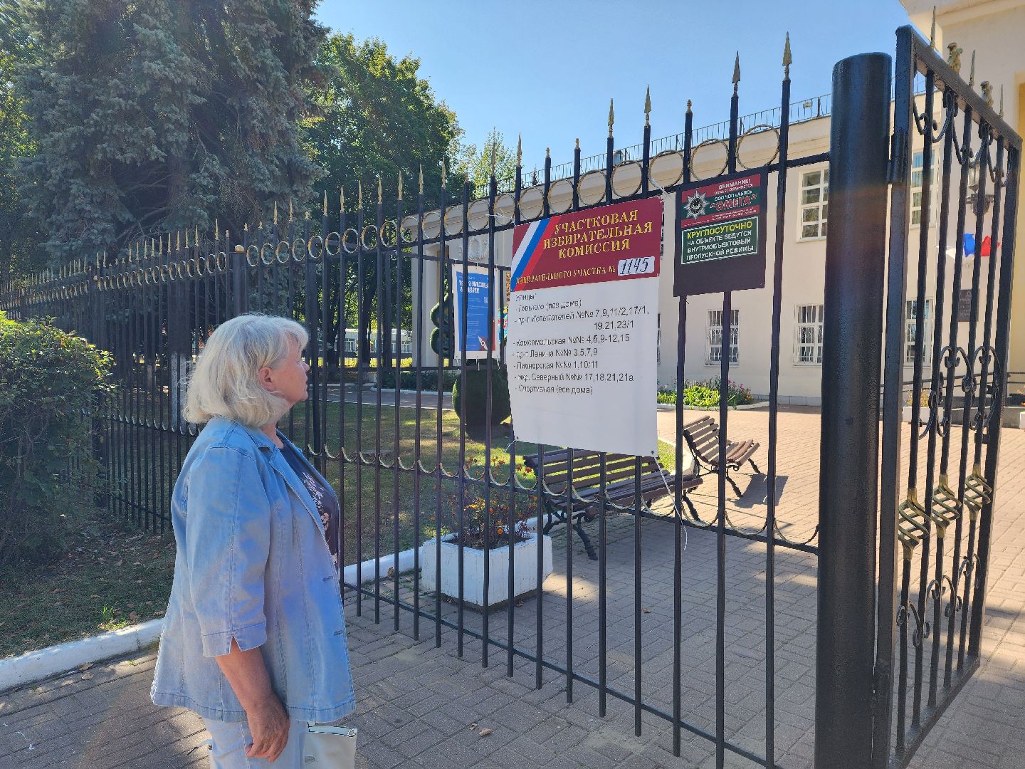 красноармейск, городской округ пушкинский, выборы 2024, избиратель,