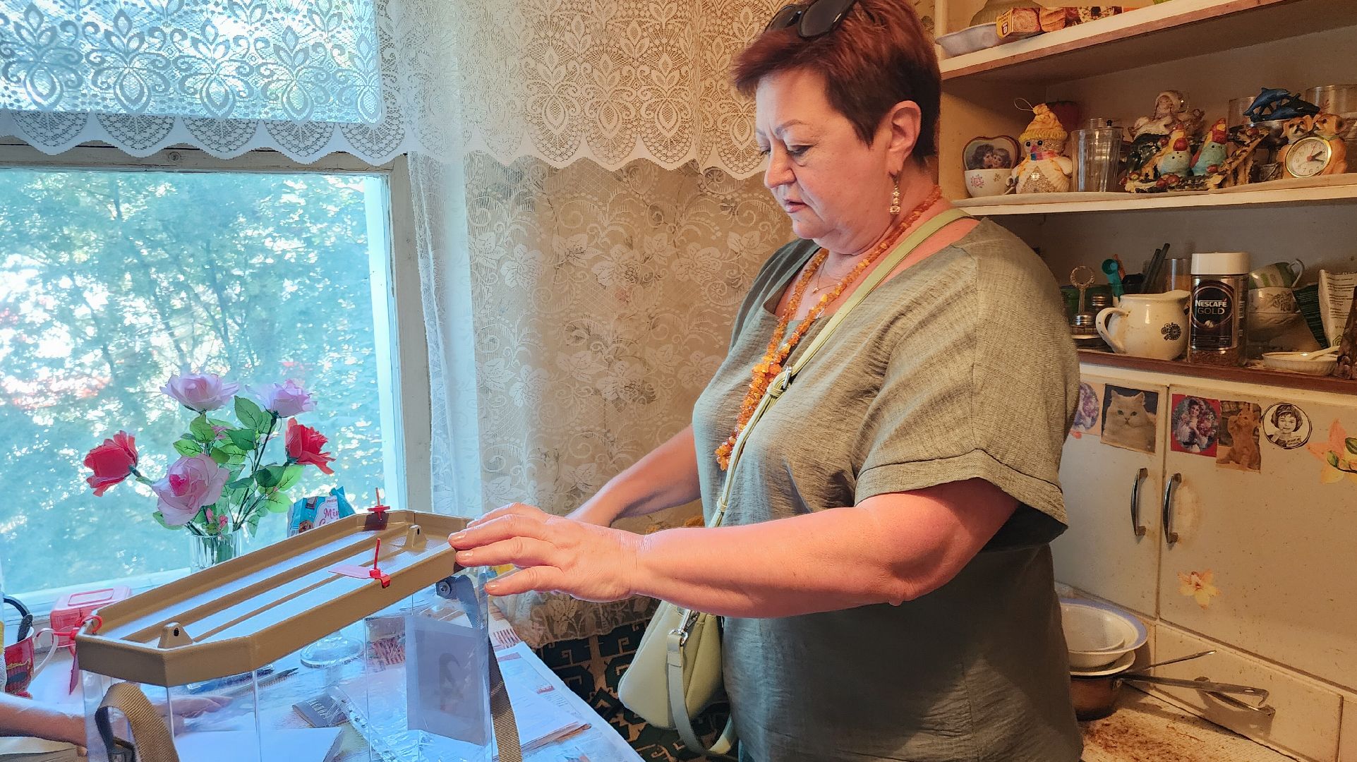 Звенигород, Выборы, одинцовский городской округ,