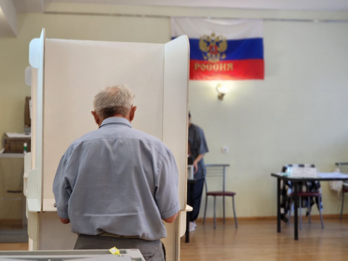 воскресенск, выборы депутатов, голосование, голосование 2024,