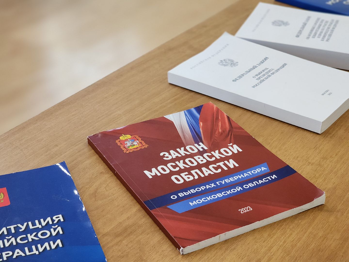 воскресенск, выборы депутатов, голосование, голосование 2024,