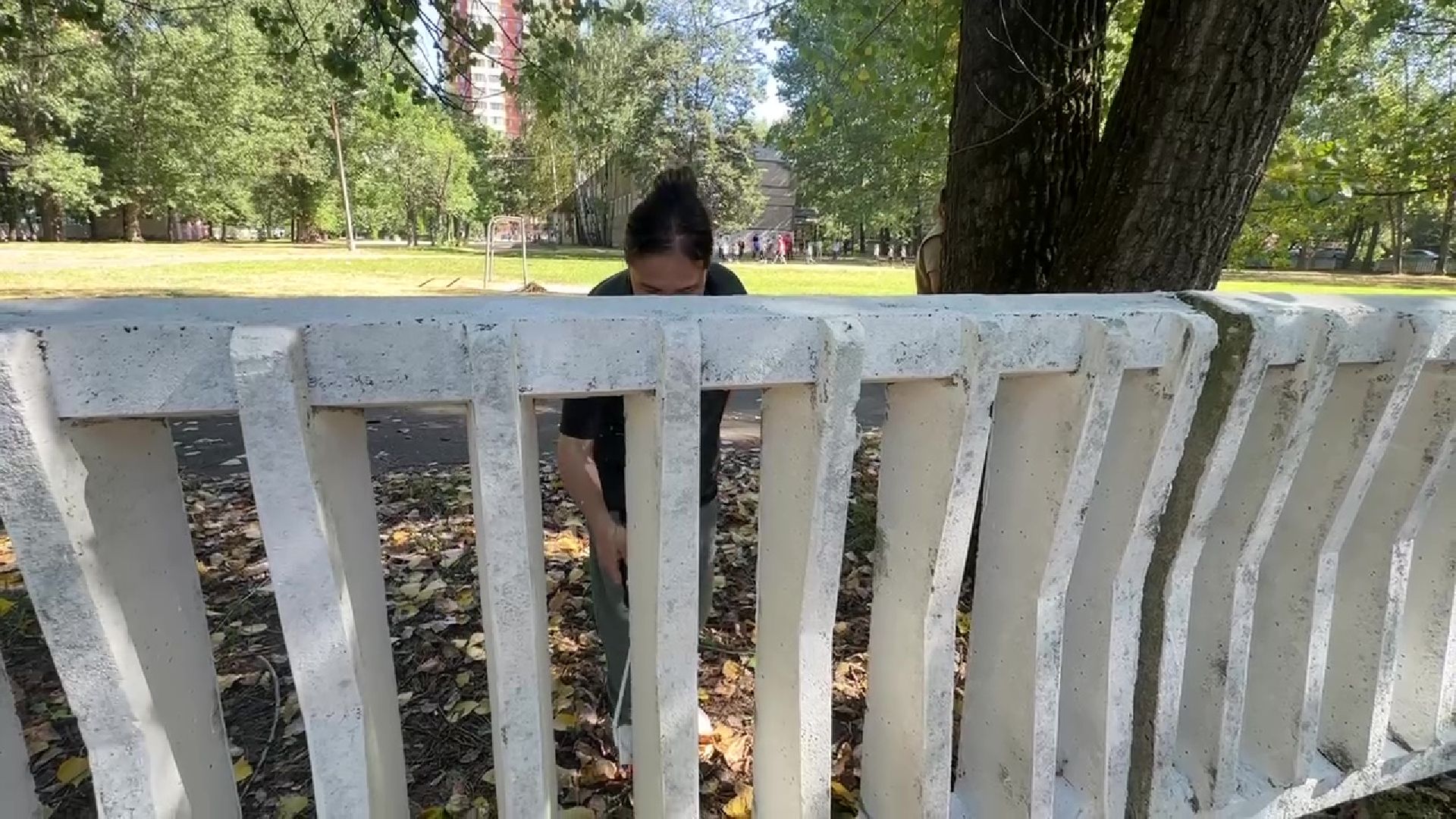 Реутов, образование, благоустройство, школа 4, забор,