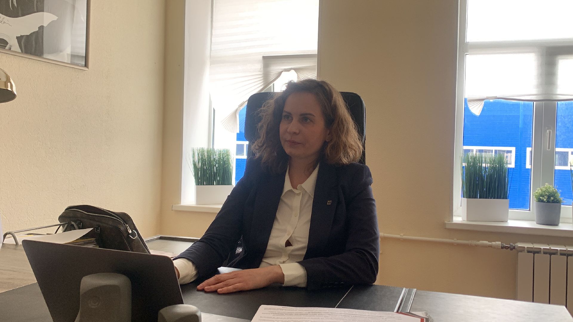 Ступино, экономика, земля за рубль