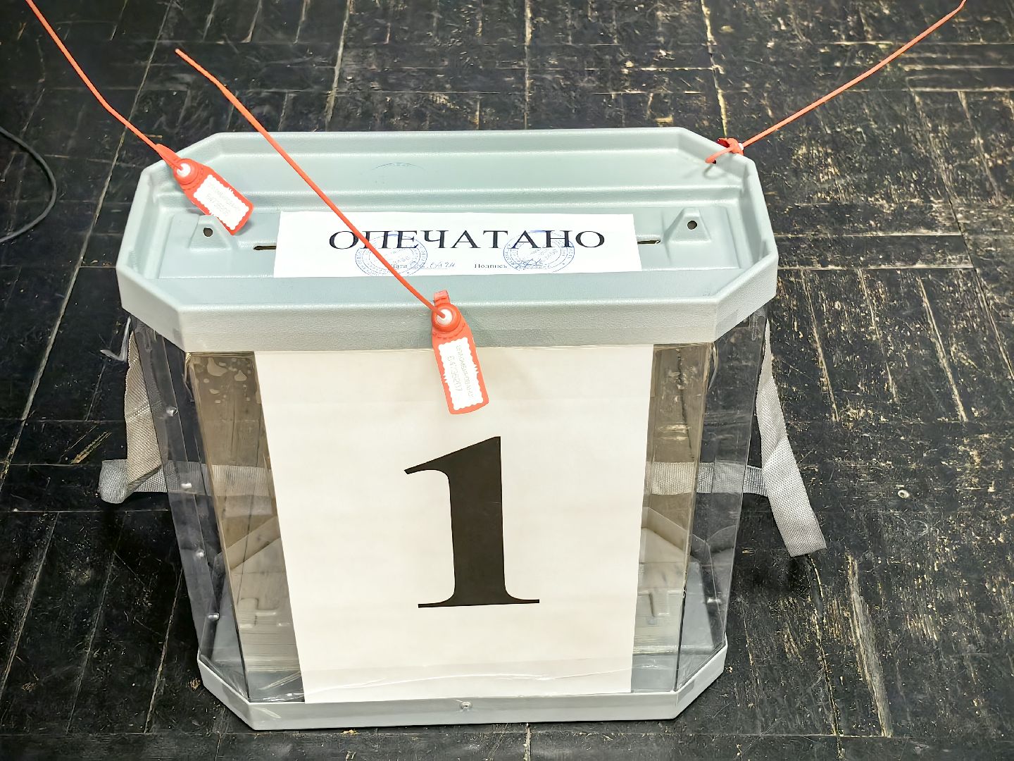 уик, выборы, депутат, голосование,