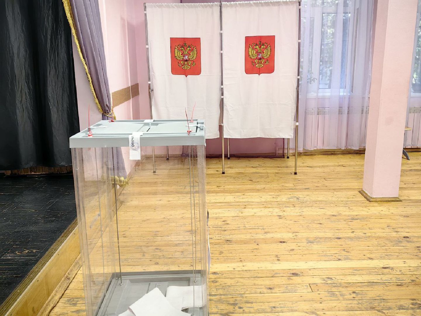 уик, выборы, депутат, голосование,