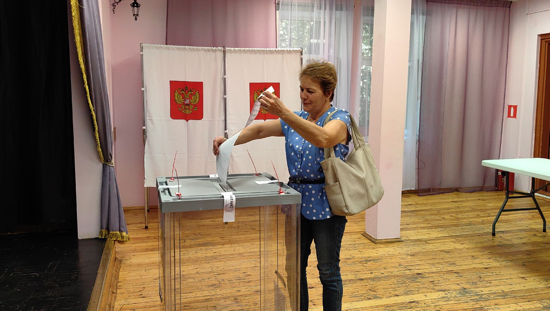 уик, выборы, депутат, голосование,