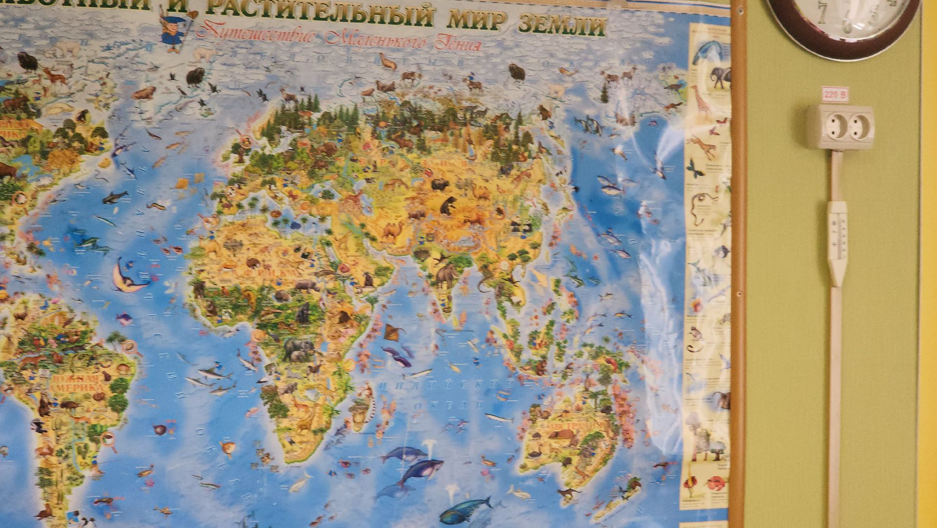 школы, дети, сво, льготы детям,парта героя,