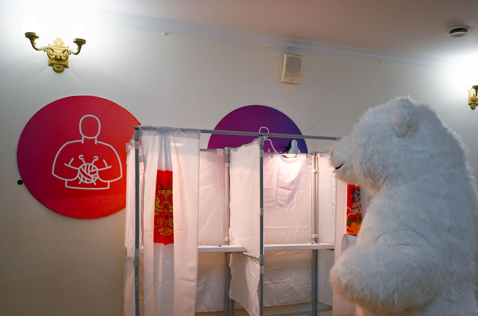 выборы, белый медведь, выборы 2024, голосование в совет депутатов ленинского округа,медведь голосует, на выборы пришел медведь,медведь в ленинском округе,