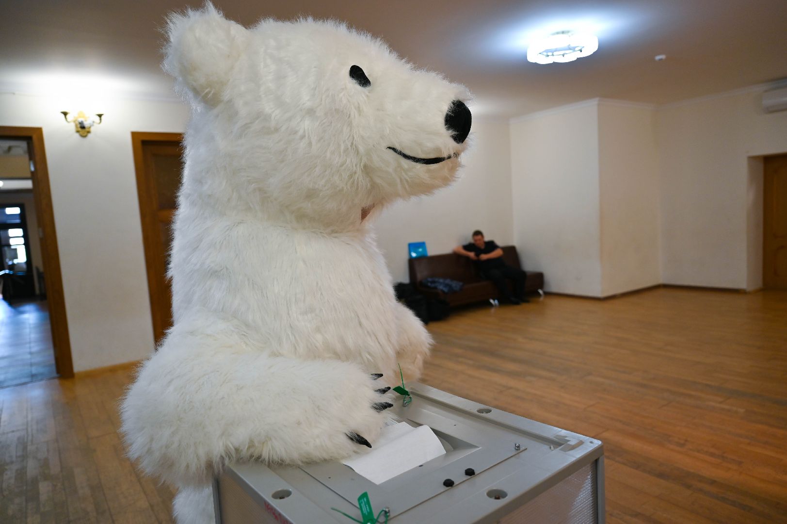 выборы, белый медведь, выборы 2024, голосование в совет депутатов ленинского округа,медведь голосует, на выборы пришел медведь,медведь в ленинском округе,